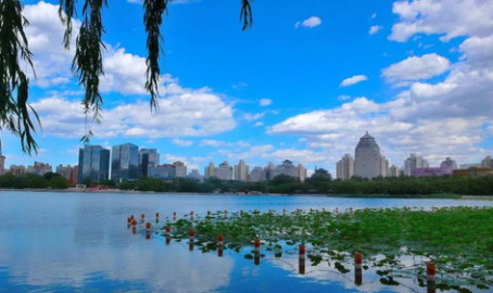 私密关系安语为什么出轨,私密关系中的安语出轨之谜